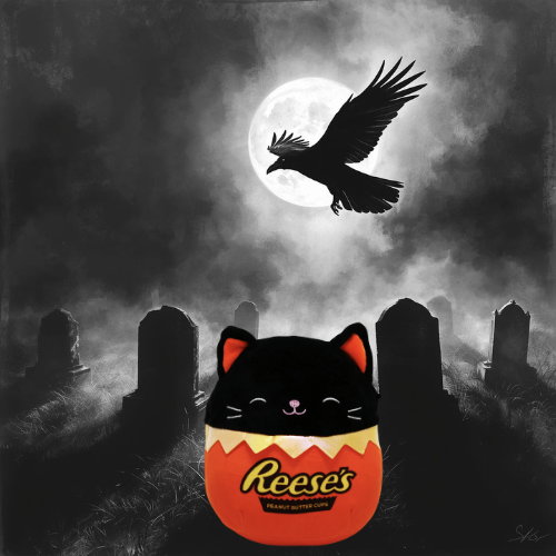 Squishmallow Reese's Cup Colton Black Cat Plush